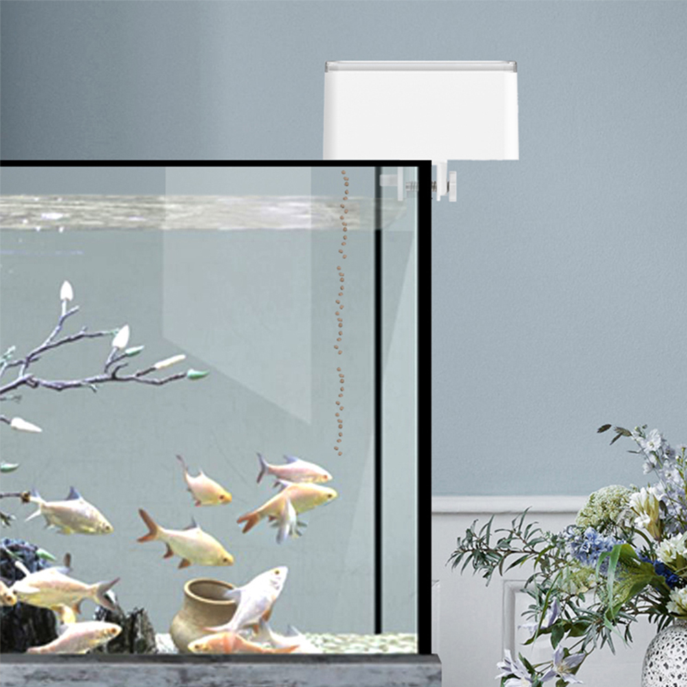 Small Fish Automatic Feeder Sm - Fishing Line Dispenser 评论和价格