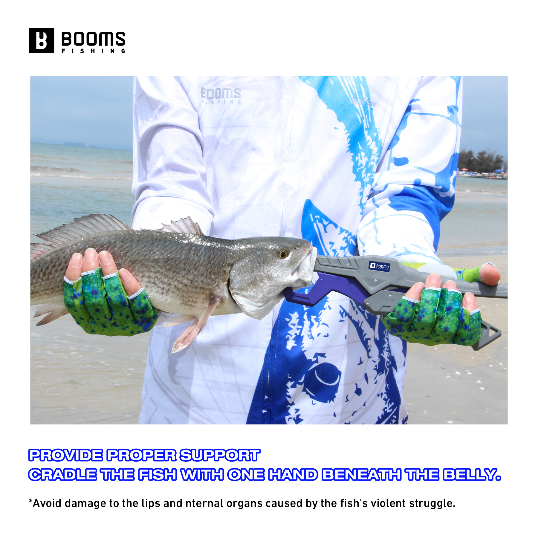 Booms Fishing 23cm Pliers and  - Fishing Line Cutter 评论和价格