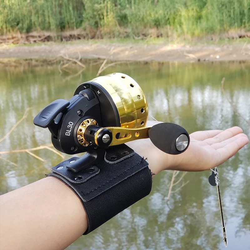 Closed Reel BL30 Fishing 4+1BB - Fishing Line Spool 评论和价格