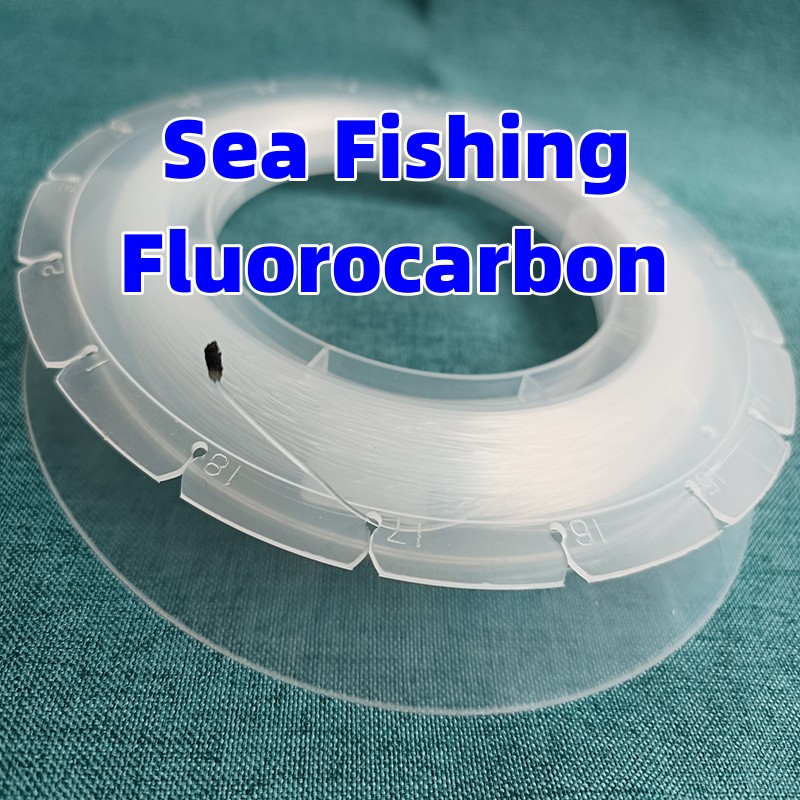 100M Fishing Fluorocarbon Big  - Fluorocarbon Line 评论和价格